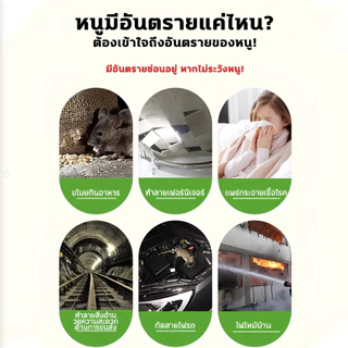 🐭ยาไล่หนู ลูกเหม็นไล่หนู กลิ่นแรง หนูหนีทันที ไม่กลับมา ใช้ในบ้าน รถ ห้องเครื่อง เห็นผลเร็ว ปลอดภัย ไร้สารพิษ