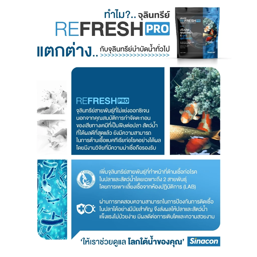 [ล็อตใหม่ผงสีขาว] Refreshpro จุลินทรีย์บ่อปลา แบคทีเรียตู้ปลา ปรับสภาพน้ำ น้ำใส ปลอดภัย ไม่มีสารเคมี thumbnail 5