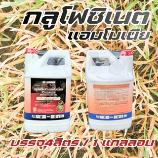 ยาฆ่าหญ้า สารกำจัดวัชพืช กลูโฟซิเนต -แอมโมเนียม15% (ตรามังกรดำ)W/V SL - ขนาด 4 ลิตร สินค้าผลิตใหม่ ของแท้(1แกลลอน)