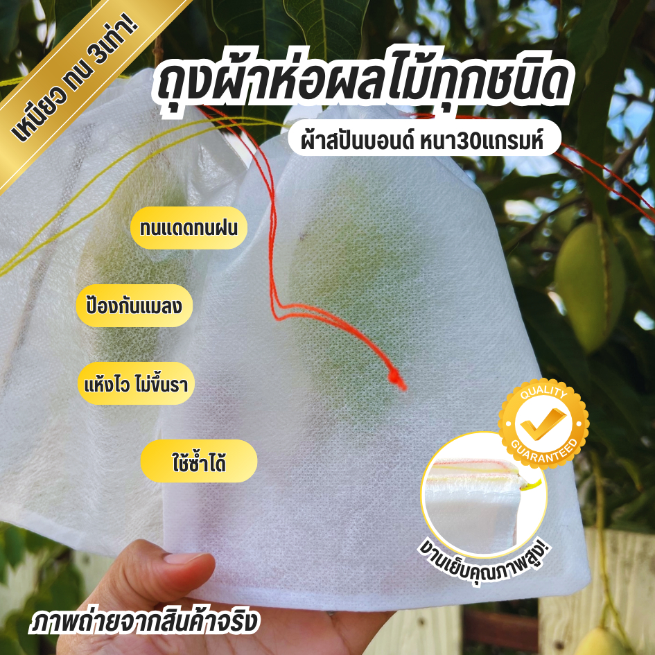 ถุงผ้าห่อผลไม้ทุกชนิด ผ้าสปันบอนด์ หนา30แกรมห์ ทนแดด ทนฝน ใช้ซ้ำได้ ป้องกันแมลง ผลไม้สวย ผ้าแห้งไวไม่เป็นเชื้อรา