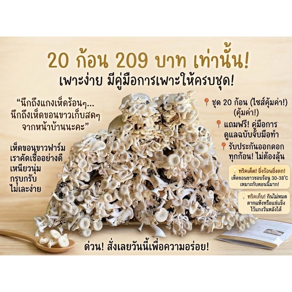 ก้อนเชื้อขอนขาว(ดำ) 20ก้อน พร้อมคู่มือการเพาะ รับประกันการออกดอก