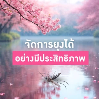 ทำบ้านให้น่าอยู่ KAYARI ยาจุดกันยุง คายาริ X-5 10 ขด กลิ่น ซากุระ รับประกันของแท้
