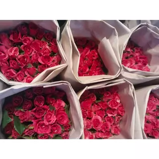 กุหลาบไทย ก้านยาว ก้านสั้น แก้บน สีแดง สีชมพู 50 ดอก[ส่งทันทีในวัน⚡]