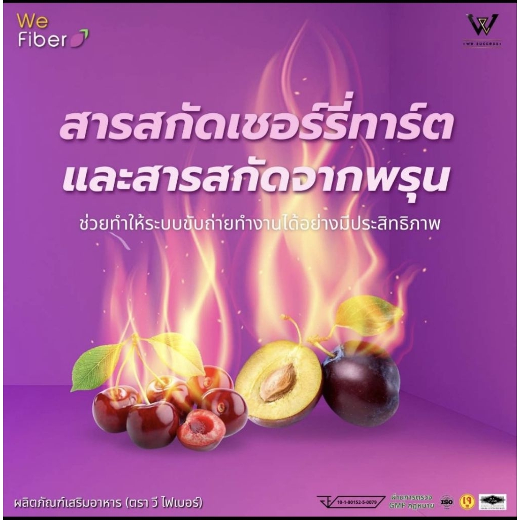 WE Fiber Premium Detox Drink အူလမ်းကြောင်းသန့်စင် ဝမ်းမှန်စေသော ဖိုက်ဘာ (၁၄ ထုပ်ပါ) 100% Authentic