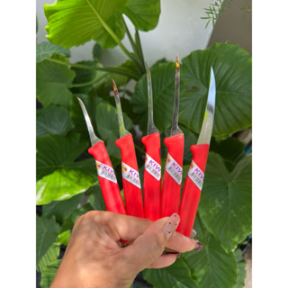 Combo set  New!!เซตมีดคว้านครบ 5 แบบในเซตเดียว