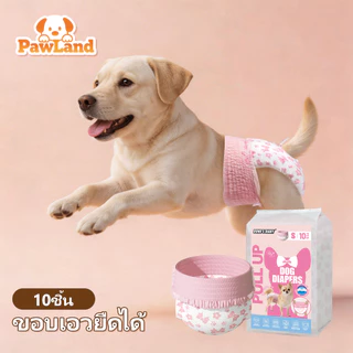 DONO'S DIARY Diaper แพมเพิสหมา เอวเข็มขัดยืดหยุ่น แบบดึงขึ้น ลายโบว์สีชมพู รองรับทั้งเพศเมียและผู้ ผ้าอ้อมแมว