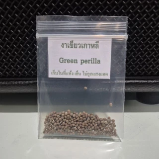 เมล็ดพันธุ์งาเขียวเกาหลี 200 เมล็ด(5แถม1คละได้)