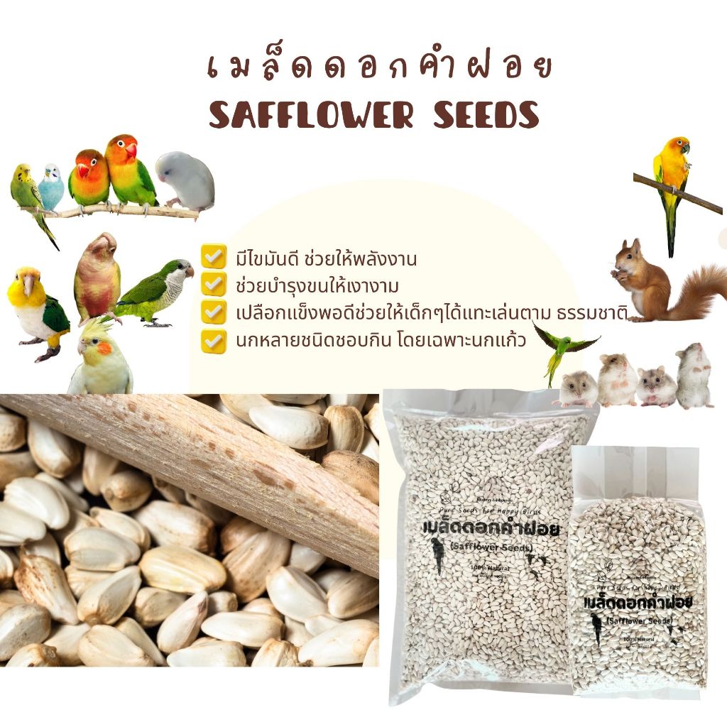 COD อาหารนก เมล็ดดอกคำฝอย (Safflower Seeds)  อาหารเสริมนกเล็ก-ใหญ่ ไขมันดี คัดสะอาด ไม่มีฝุ่น ราคา ถูกที่สุด ดีลบีเคเค แกลเลอรีภาพที่ 4