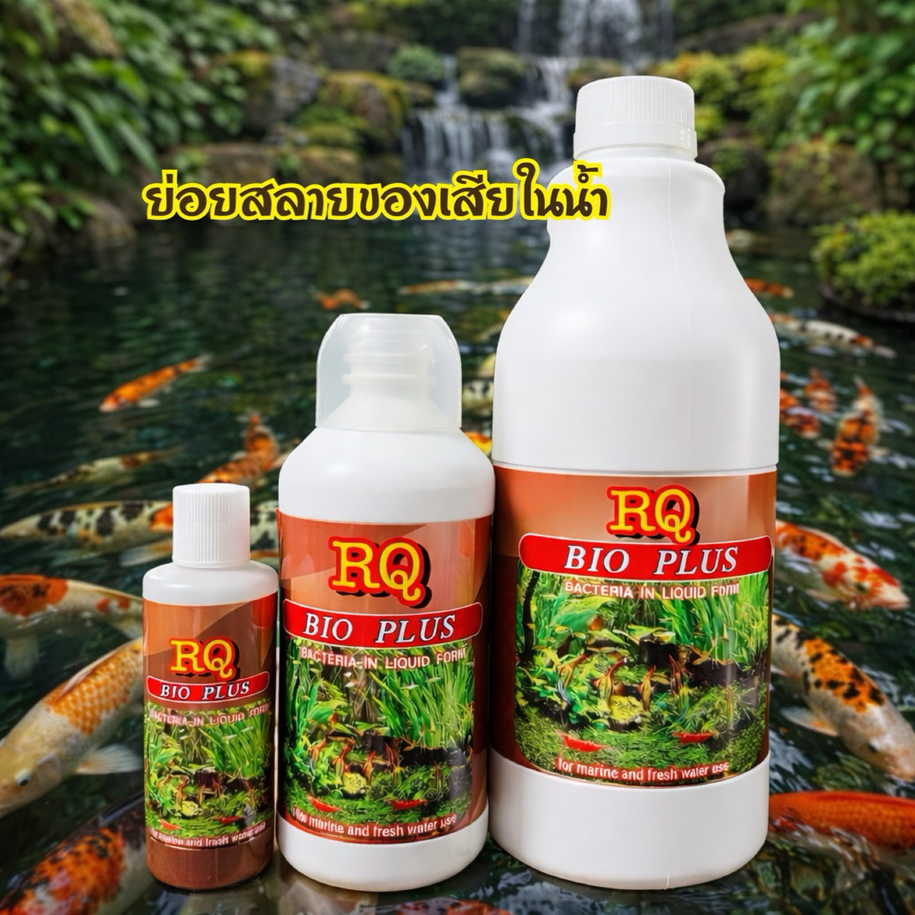 RQ BIO PLUS แบคทีเรียย่อยสลายของเสีย ในตู้ปลา บ่อปลา