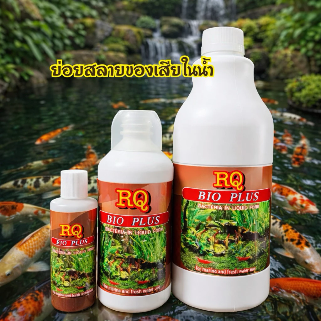 RQ BIO PLUS แบคทีเรียย่อยสลายของเสีย ในตู้ปลา บ่อปลา