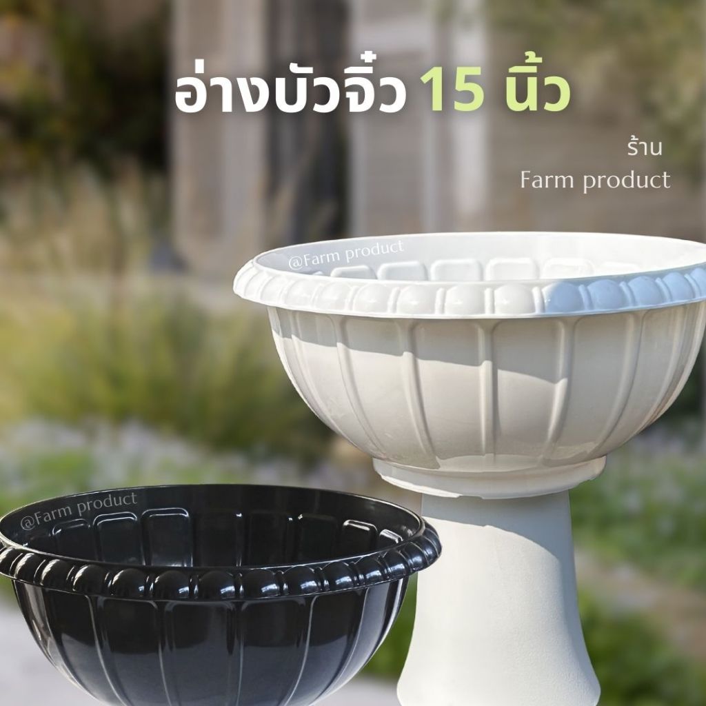อ่างบัวจิ๋ว, อ่างเลี้ยงปลา 15 นิ้ว. ใหม่ พร้อมส่ง