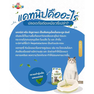 Okiko ทรายแมวเต้าหู้ ขนาด 20 ลิตร ทรายอนามัย ทิ้งชักโครกได้