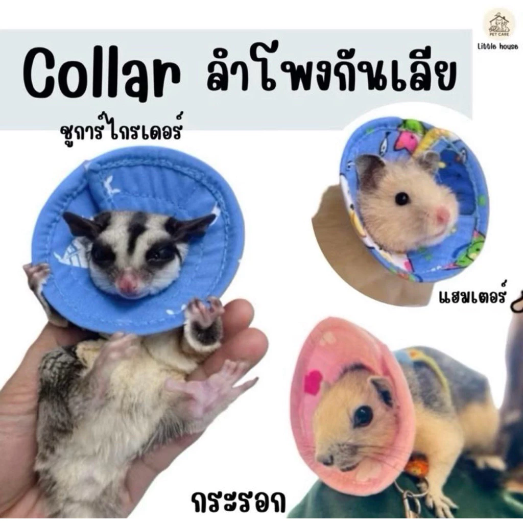 คอลล่าชูการ์ ปลอกคอกันเลียชูการ์ กระรอก แฮมเตอร์ งานไทยพร้อมส่ง