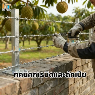 ลวดหนามชุบกัลวาไนซ์ กันสนิม ยาว60-100เมตร (#14 #16 #17) ปมเชือก 5 รอบ ลวดหนามล้อมรั้ว ล้อมไร่ ล้อมสวนทุเรียน ใช้งานสะด