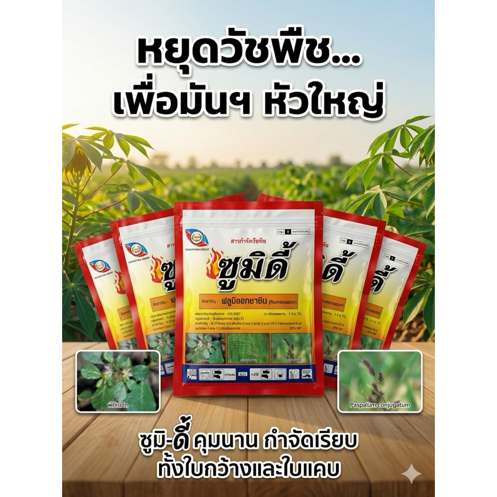 (ชุด5ซอง ) ซูมิดี้ 100กรัม(คุมหญ้าในไร่มันสำปะหลังอยู่หมัด) อัตราส่วน 5 กรัมต่อน้ำ20ลิตร