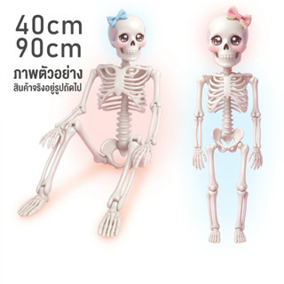 หุ่นโครงกระดูกพลาสติก ขนาด 40cm / 90cm อุปกรณ์ตกแต่งวันฮาโลว…