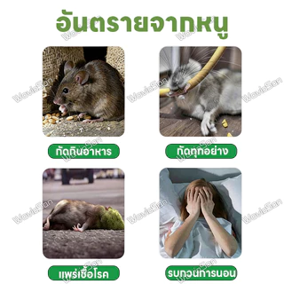 🐁ป้องกันนาน🐀ยาไล่หนู สเปรย์ไล่หนู 680ml ไล่หนูแรง สูตรปลอดภัย ของใช้ประจำบ้าน ช่วยลดกลิ่นจากหนู