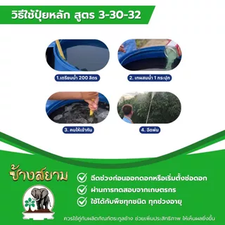 ปุ๋ยช้างสยาม 3 กระปุก ปุ๋ยหลัก สูตรปุ๋ยเร่งดอก 3-30-32