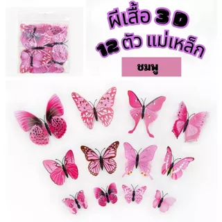 ผีเสื้อ 3D จำนวน 12 ชิ้น มีหลายสี มีแม่เหล็ก และกาว ไว้ตกแต่งผนัง