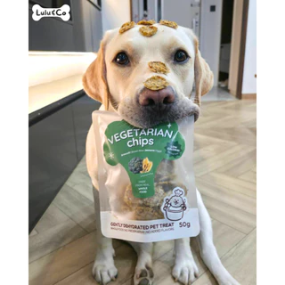Vegetarian Chips บิสกิตผัก ขนมสุนัข มังสวิรัติ ขนมหมา 50/100g Dehydrated Dog Treat by Lulu & Co