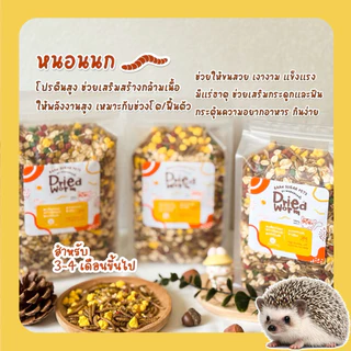 อาหารชูการ์ไกลเดอร์(ส่งด่วน) สูตรหนอนนกอบแห้งโปรตีนสูง | สำหรับ ชูก้า เม่นแคระ ดอร์เมาส์ และสัตว์กินแมลง