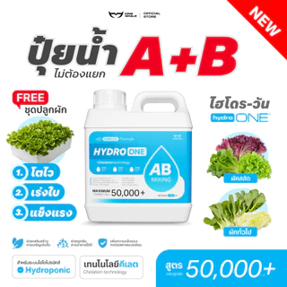 Hydro-ONE (ไฮโดร-วัน) | ปุ๋ย AB ขวดเดียว ไม่ต้องผสม! +Chelation ดูดซึมดี ไฮโดรโปนิกส์(แถมชุดปลูกฟรี)