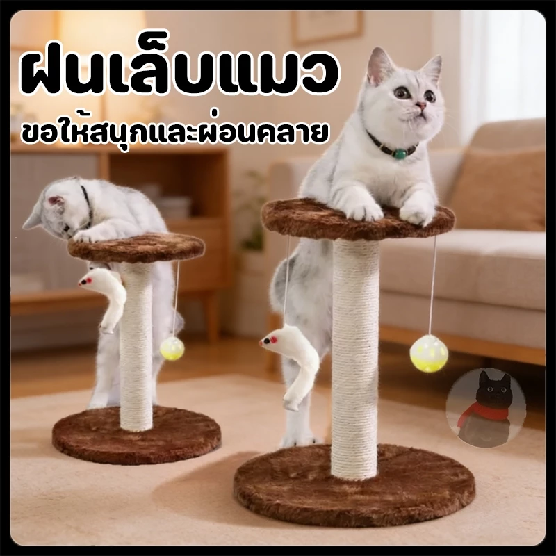 คอนโดแมว ฝนเล็บแมว ที่รับเล็บแมว เสาแมว เสาลับเล็บแมว ที่ลับเล็บแมว ของเล่นแมว พอดีเล็บเเมว แข็งแรง ทนทาน