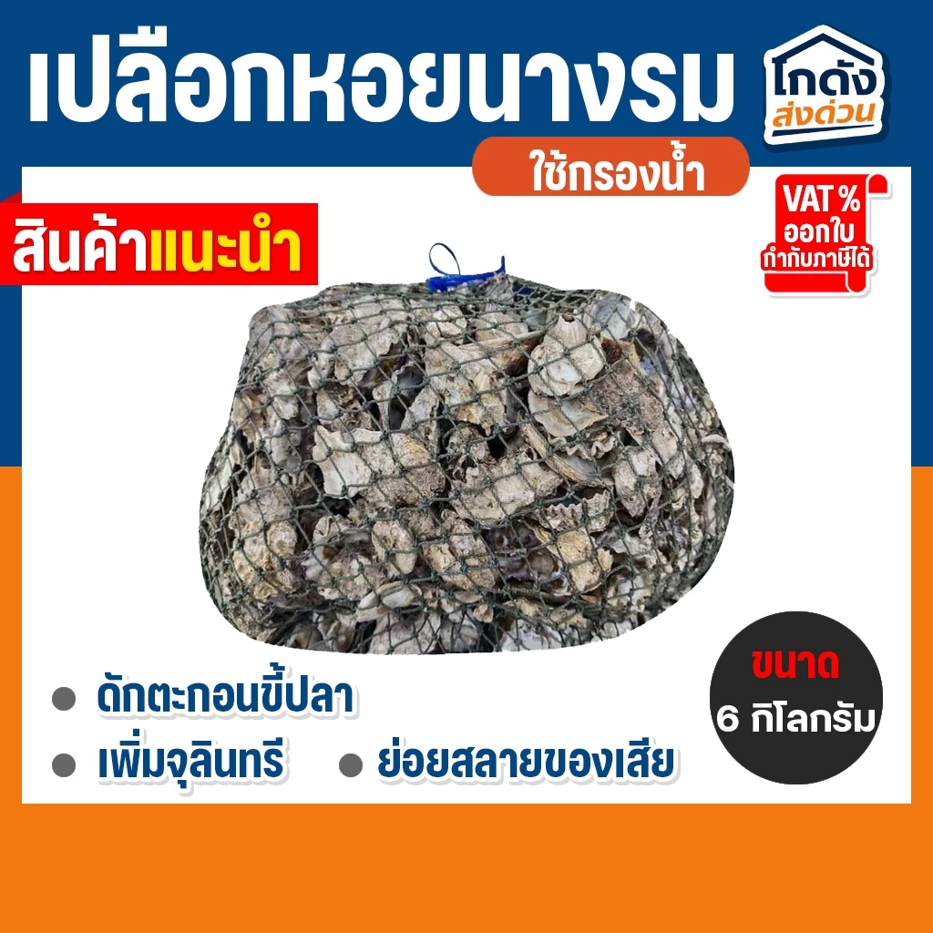 เปลือกหอยนางรม 6 kg.ใส่ถุงตาข่ายอวนเขียว พร้อมใช้งาน