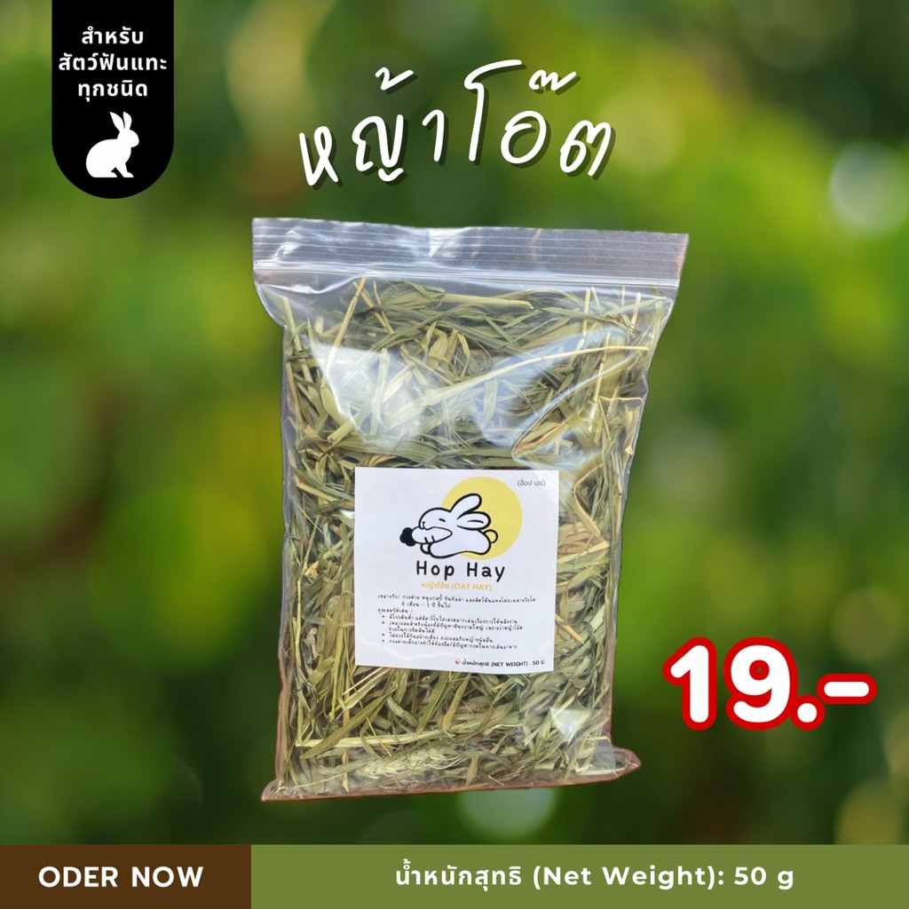 🐇 หญ้าโอ๊ต (Oat Hay) 𖤥𖥧𑁍𖥧₊ ⊹❀