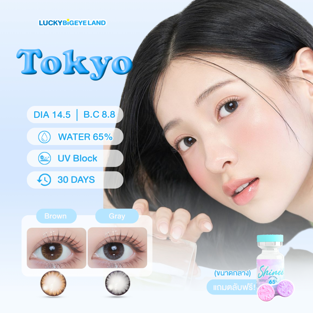 คอนแทคเลนส์ Tokyo Brown/ Gray (Shinee Lens) ขนาดกลาง🌷