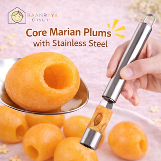 ที่เจาะแกนผลไม้ สแตนเลส Fruit Corer คว้านผลไม้ได้หลากหลาย 0.8-2 cm Baan Raya