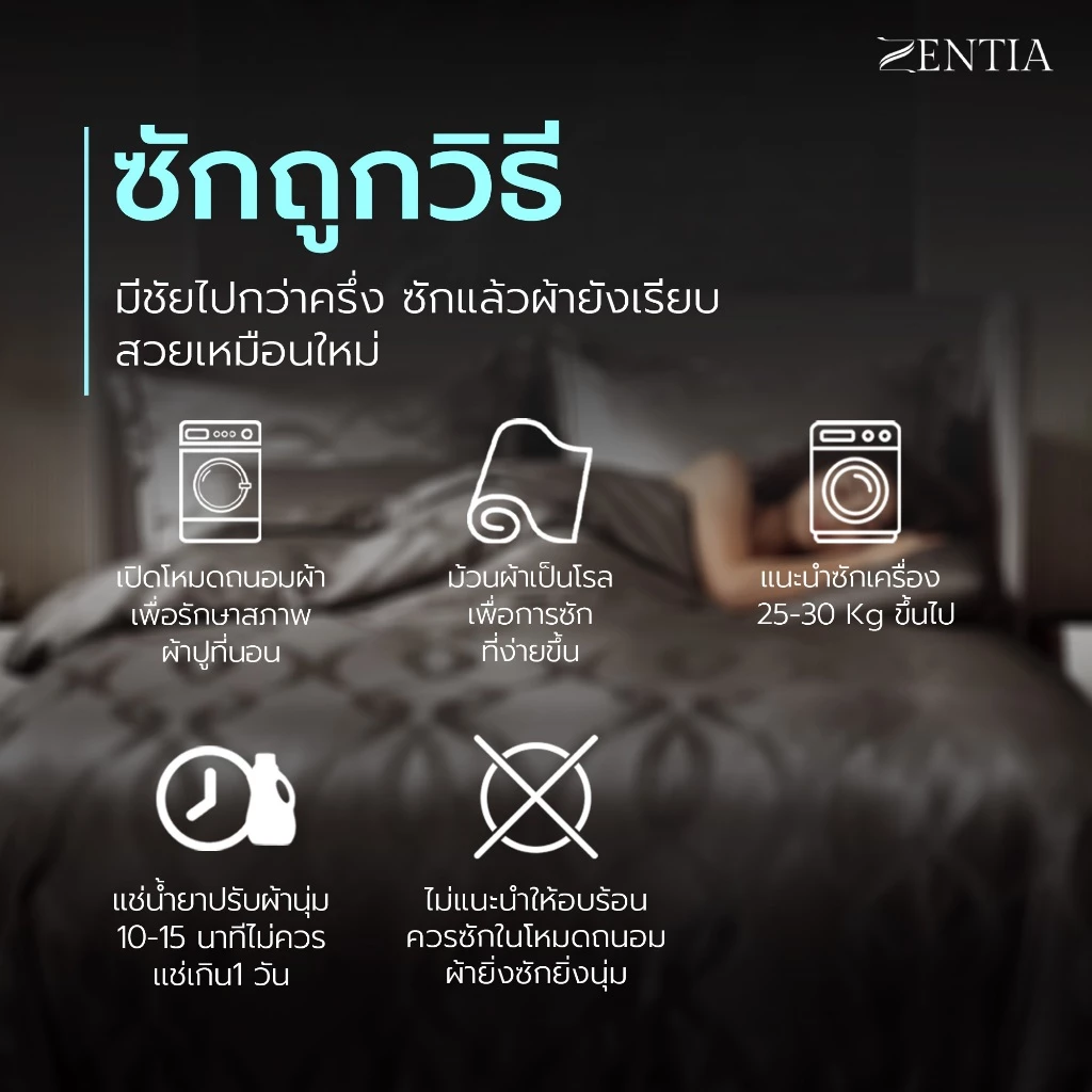 ZENTIA ชุดผ้าปู + ผ้านวม รุ่น NC สัมผัสนุ่มลื่นนอนเย็นสบาย กันไรฝุ่น ทอ 700 เส้น ครบเซ็ต 6 ชิ้น [NC] thumbnail 9