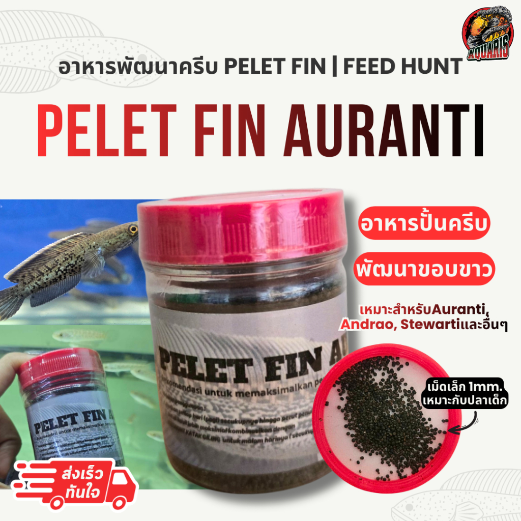 PELET FIN AURANTI | อาหารเม็ดพัฒนาครีบ เร่งครีบ ปั้นขอบขาวปลาช่อนสวยงาม