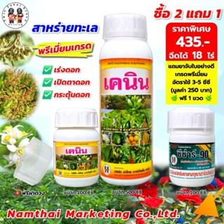 [2 แถม 1] ตราเงาะคู่ เคนิน สาหร่ายทะเล ฮอร์โมนเร่งดอก เปิดตา…