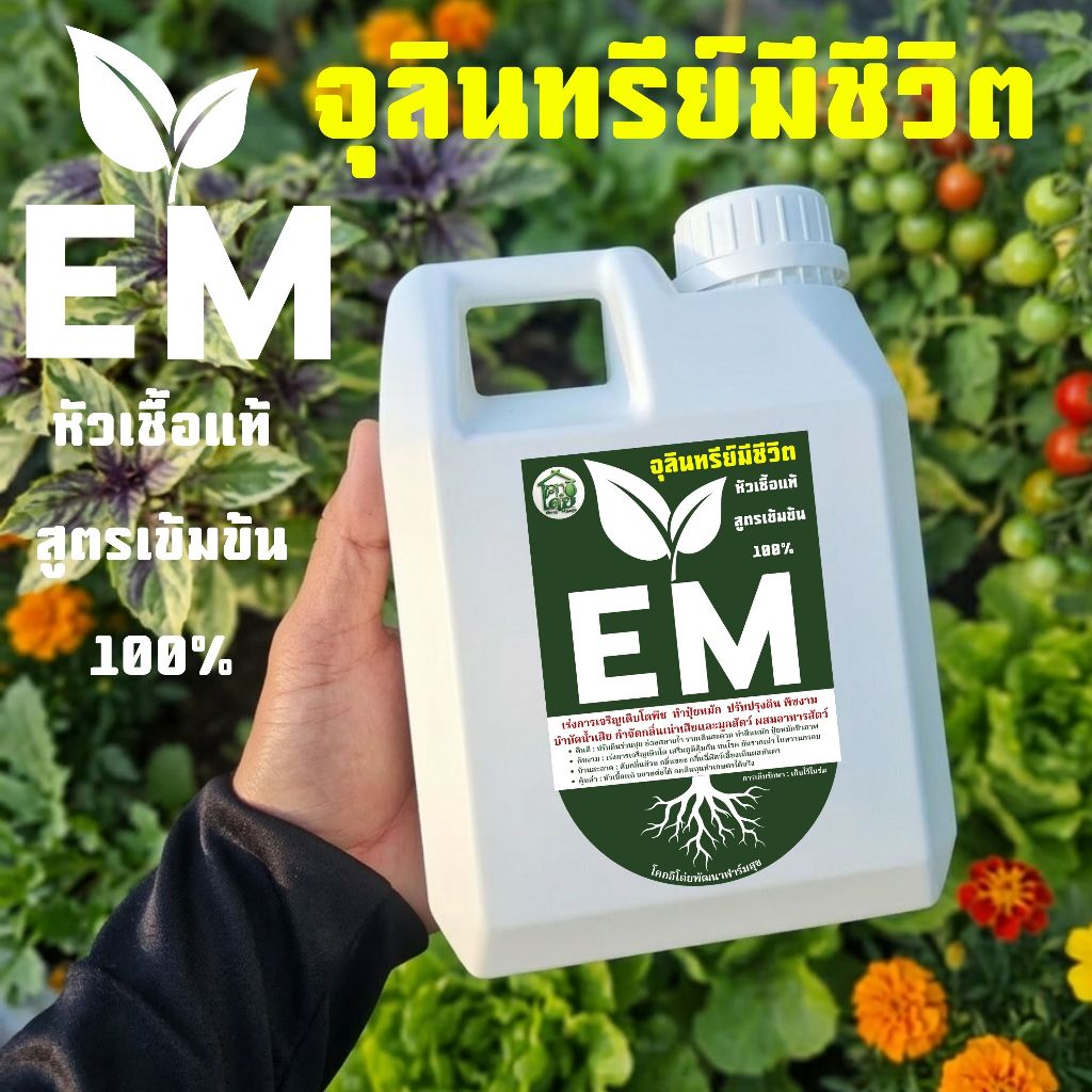 EM จุลินทรีย์น้ำ สูตรเข้มข้น 100% หัวเชื้อแท้ (1 ลิตร) เร่งพืชงาม ปรับดินร่วน แก้ส้วมเต็ม ดับกลิ่นฉี่สัตว์ เห็นผลทันตา!