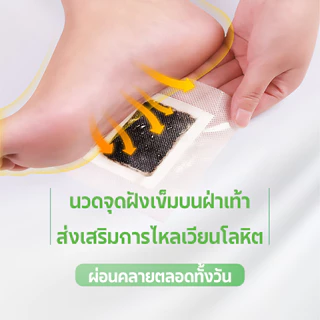 แผ่นแปะเท้า แผ่นแปะเท้าสมุนไพร คิโนกิ ของแท้ ดีท็อก แปะแก้ปวด แก้ปวด แผ่นแปะเท้าดูดสารพิษ แผ่นแปะสมุนไพรจีน