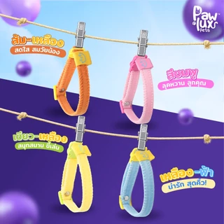 Pawlux pets ปลอกคอนิรภัย พาสเทลมินิมอลรุ่น Pastel Safety Soft