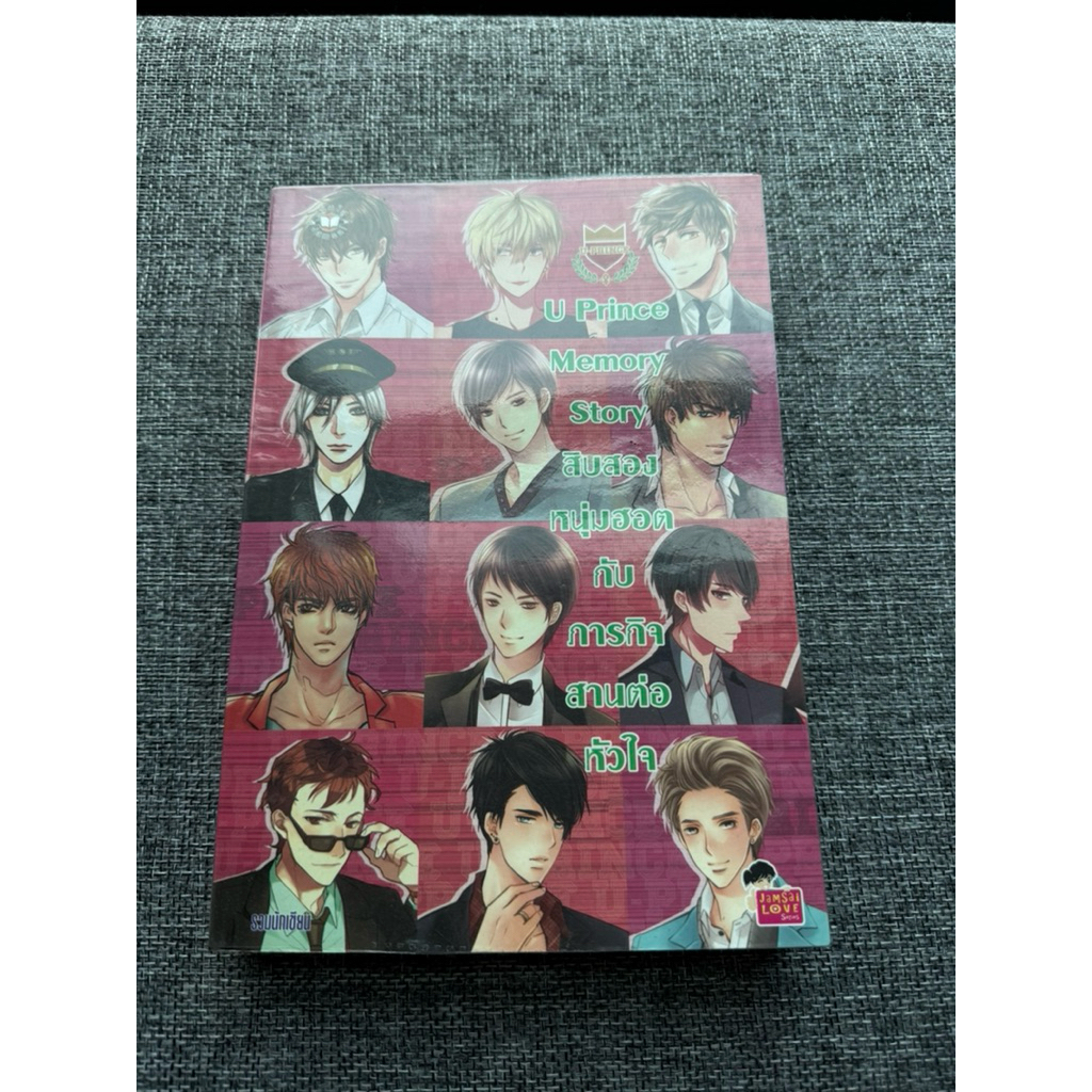 นิยายแจ่มใสUPrinceสิบสองหนุ่ม