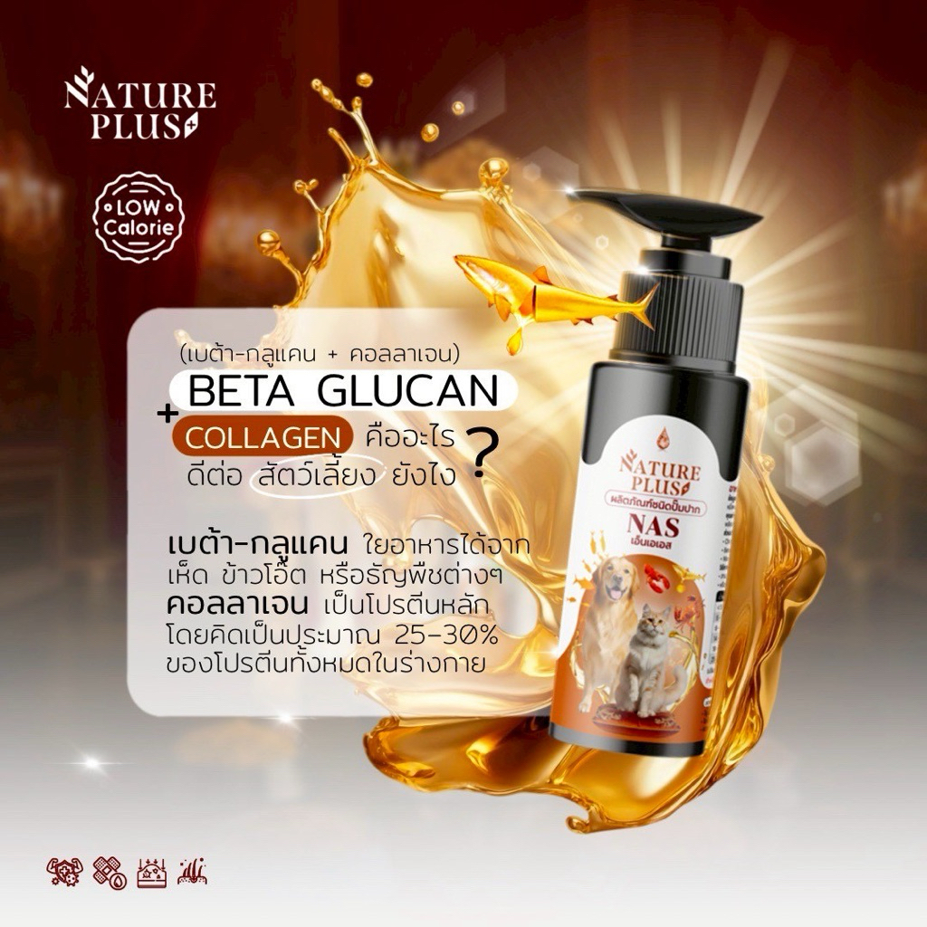 ผลิตภัณฑ์ปั๊มปาก สุนัขและแมว กินเก่ง ร่าเริง ฟื้นฟูร่างกายเร่งด่วน