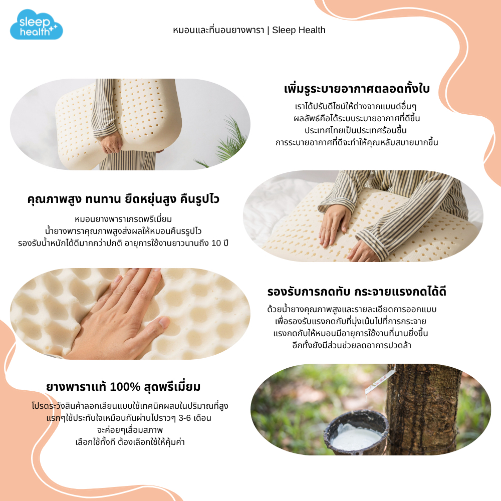 Sleephealth หมอนยางพาราเพื่อสุขภาพ รุ่น Durian มาพร้อมปลอกหมอน สีเทา เกรดส่งออกโรงแรม 5 ดาว ผ้ากันไรฝุ่นหนาทนทาน น้ำยาง ราคา ถูกที่สุด ดีลบีเคเค แกลเลอรีภาพที่ 8