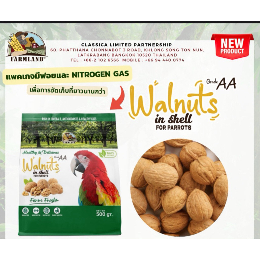 Farmland Walnut ✨ถั่ววอลนัท นำเข้าจากอเมริกา สำหรับนกแก้ว และสัตว์ฟันแทะ 500g