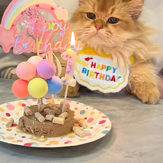 🍰🐶🐱🎂ชุดวันเกิดสัตว์เลี้ยง สำหรับสุนัขและแมว สีสันสดใส จัดส่งรวดเร็วภายในประเทศจากประเทศไทย📦