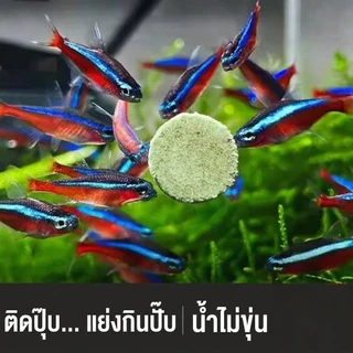 SPIRULINA​ 30g.​ สาหร่ายสไปรูนิน่าอัดเม็ดอาหารสำหรับกุ้งแคระและปลาซัคเกอร์​สวยงาม