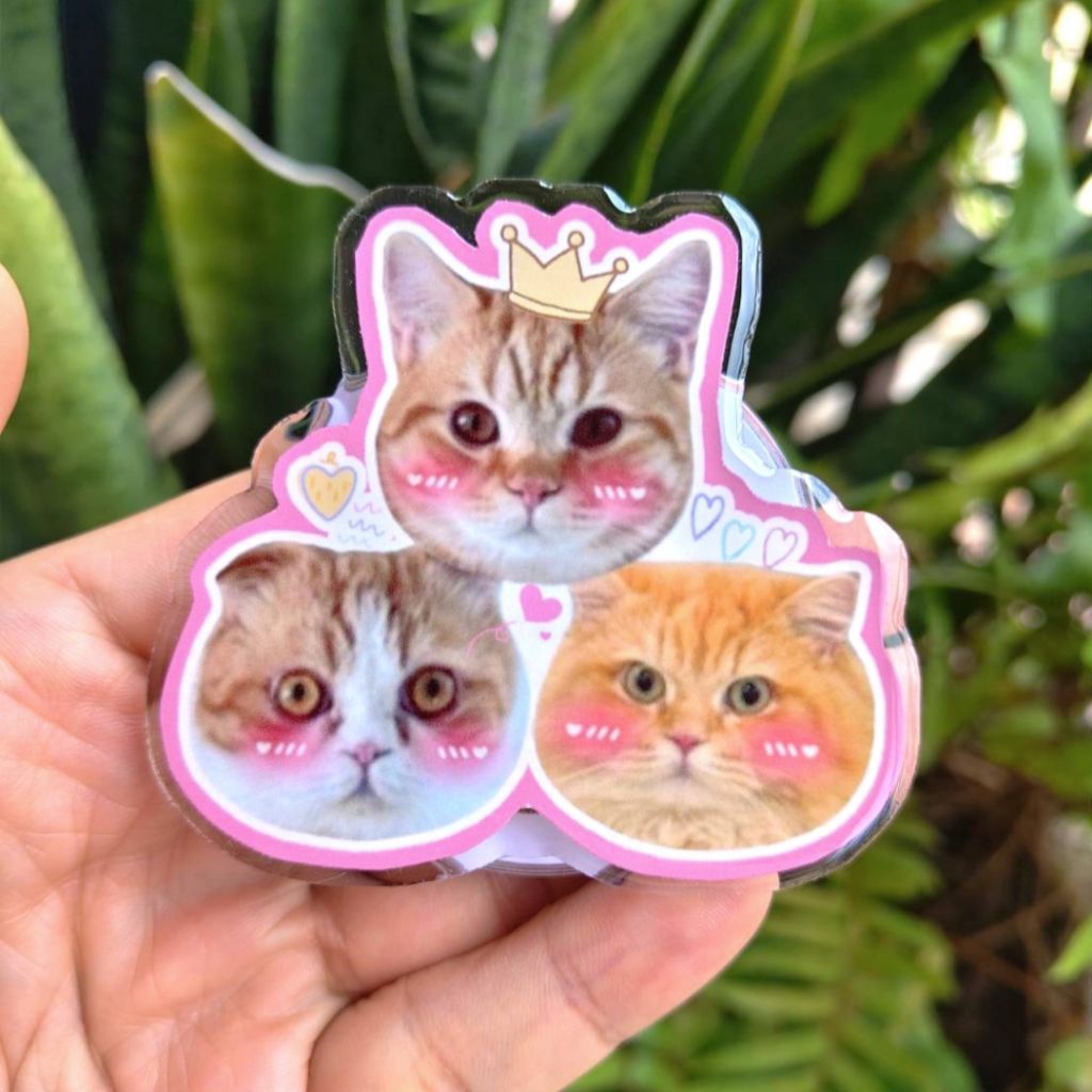 Griptokสามหัว Griptokสั่งทำ  Griptokสามหน้า  Griptokน่ารักๆ ออกแบบเองได้ตามใจชอบ