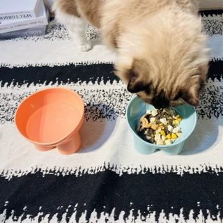 ชามอาหารสัตว์เลี้ยง ชามแมวยกสูง ชามอาหารหมา Pet Food Bowl มี 4 สีพาสเทล