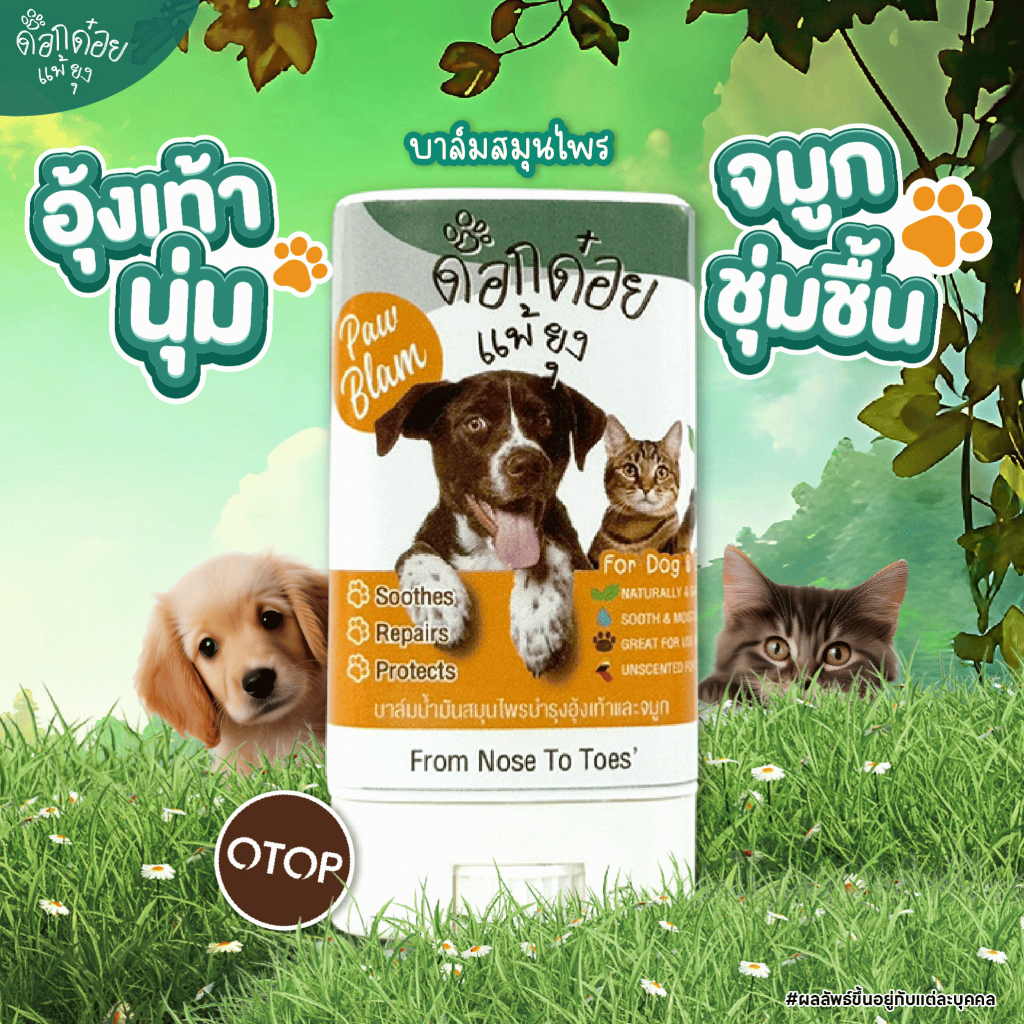 บาล์มบำรุงอุ้งเท้าสัตว์เลี้ยง แบรนด์ด็อกด๋อยแพ้ยุง | ป้องกันเชื้อแบคทีเรีย | จัดการเห็บหมัดที่ซ่อนตามซอกเท้า | ขนาด 20 g
