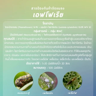 เอฟโฟเรีย (ไทอะมีทอกแซม 14.1% + แลมป์ดา-ไซฮาโลทริน 10.6% W/V ZC) 500 ซีซี