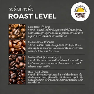 Fresh Strawberry เมล็ดกาแฟอาราบิก้า 100% Premium Huila คั่วอ่อน Mooday coffee