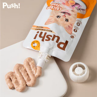 Push! อาหารแมว ซองบีบ [6/12/24 ซอง] 🔵 ไก่+น้ำซุป Complete Balance 100g เนื้อมูสนุ่ม ไม่เติมเกลือ