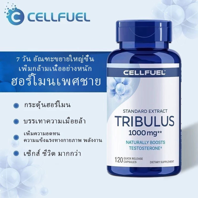 ฮอร์โมนเพศชาย เสริมสมรรถภาพท่านชาย ผลิตภัณฑ์สุขภาพสำหรับผู้ชาย แคปซูล Tribulus terrestris แอนโดรเจนเพิ่มความแข็งแรงขอ